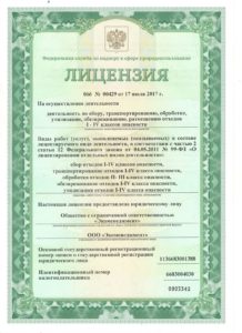 Лицензия на осуществление деятельности по работе с отходами